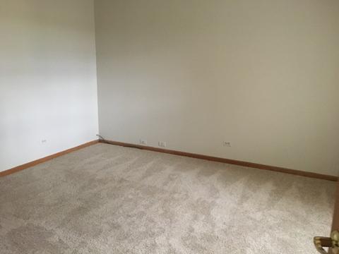 24040 Simo Dr, Plainfield, IL 60586 photo 11