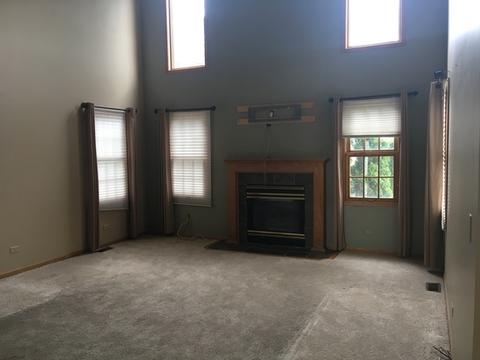 24040 Simo Dr, Plainfield, IL 60586 photo 8
