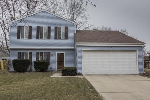 1218 Driftwood Ln, Bartlett, IL 60103 photo 1