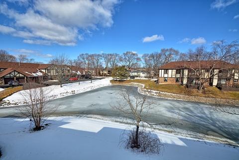 1044 Creekside Ct #2AR, Wheeling, IL 60090 photo 11