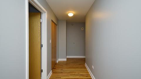 41 E 8th St #607, Chicago, IL 60605 photo 3