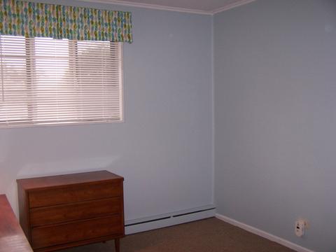 862 E Algonquin Rd, Des Plaines, IL 60016 photo 14