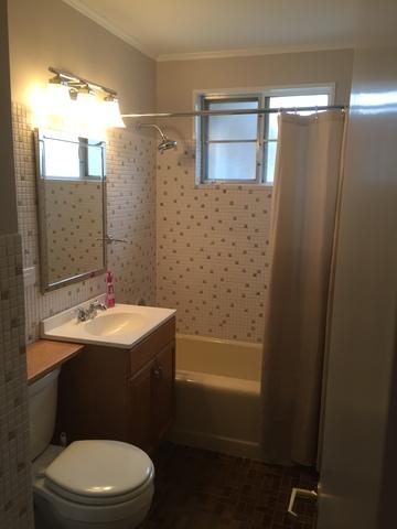 862 E Algonquin Rd, Des Plaines, IL 60016 photo 12