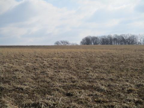 16863 Hartman Rd, Davis, IL 61019 photo 4