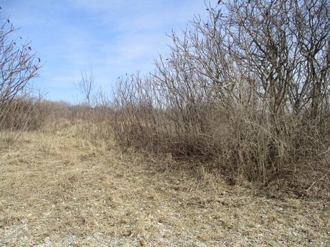 16863 Hartman Rd, Davis, IL 61019 photo 1