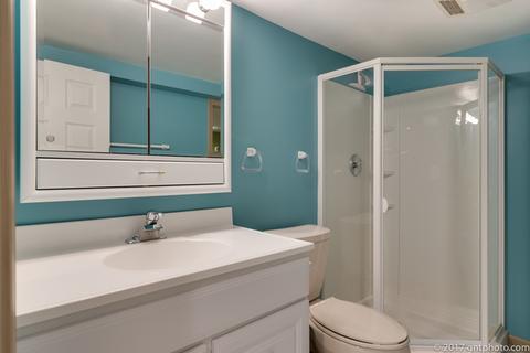 374 E Aberdeen Ct, Elmhurst, IL 60126 photo 37