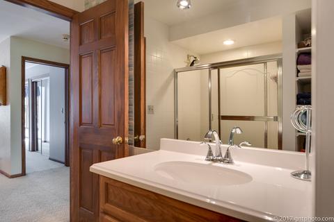374 E Aberdeen Ct, Elmhurst, IL 60126 photo 34
