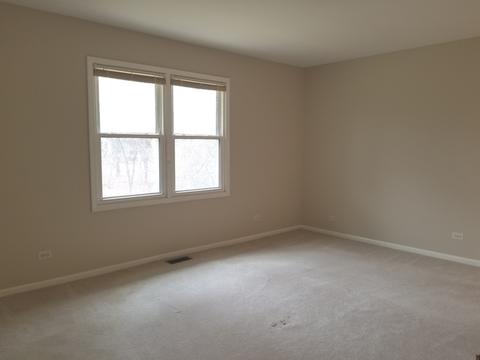 360 S Oak Ave, Bartlett, IL 60103 photo 38