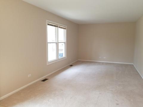 360 S Oak Ave, Bartlett, IL 60103 photo 31