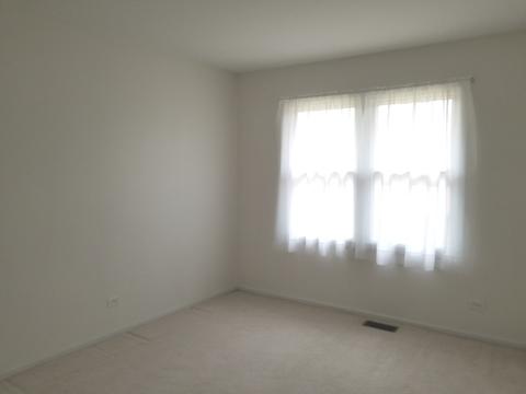 360 S Oak Ave, Bartlett, IL 60103 photo 49