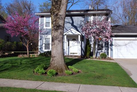 360 S Oak Ave, Bartlett, IL 60103 photo 4
