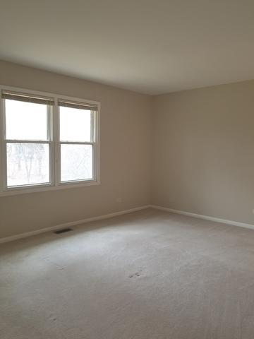 360 S Oak Ave, Bartlett, IL 60103 photo 39