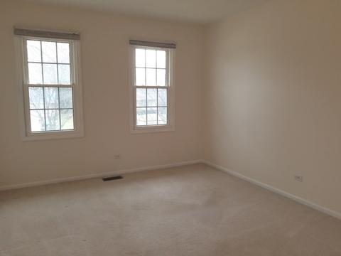 360 S Oak Ave, Bartlett, IL 60103 photo 45