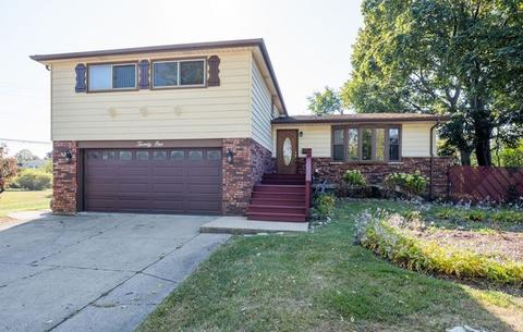21 Ambleside Rd, Des Plaines, IL 60016 photo 3