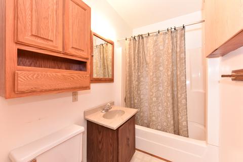 160 Forest Ave, Fox Lake, IL 60020 photo 13
