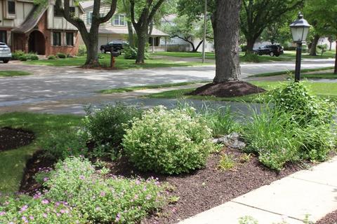 516 E Bauer Rd, Naperville, IL 60563 photo 18