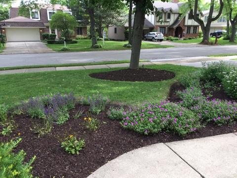 516 E Bauer Rd, Naperville, IL 60563 photo 19