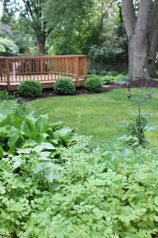 516 E Bauer Rd, Naperville, IL 60563 photo 24