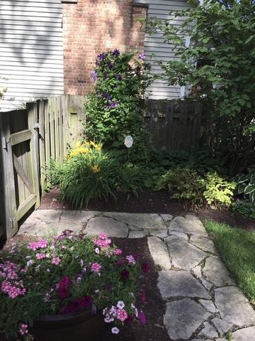 516 E Bauer Rd, Naperville, IL 60563 photo 22