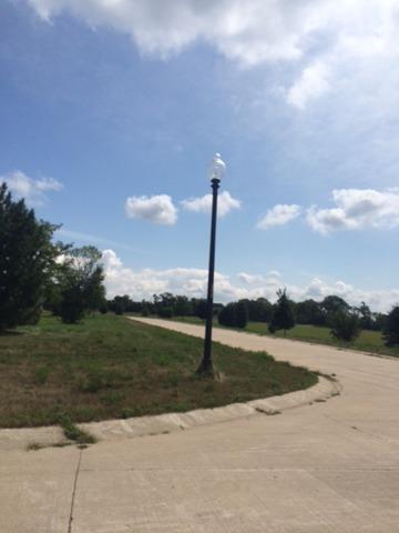 2903 Briar Dr, Spring Grove, IL 60081 photo 2