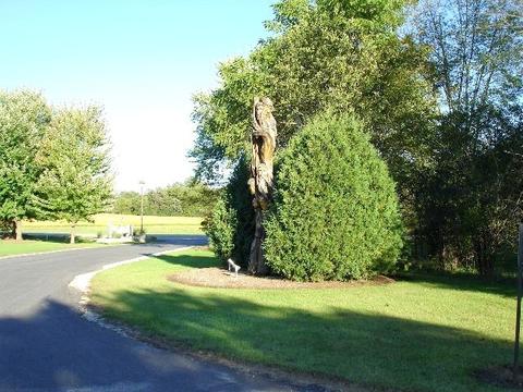 2903 Briar Dr, Spring Grove, IL 60081 photo 5