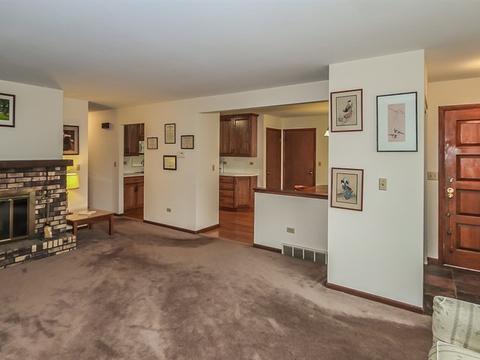 83 Lockman Cir, Elgin, IL 60123 photo 4