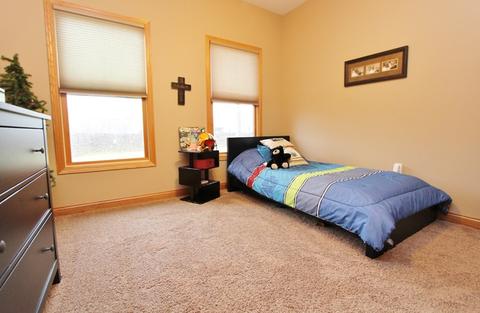 1842 Kingtree Dr, Morris, IL 60450 photo 22