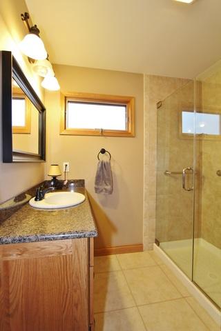 1842 Kingtree Dr, Morris, IL 60450 photo 24