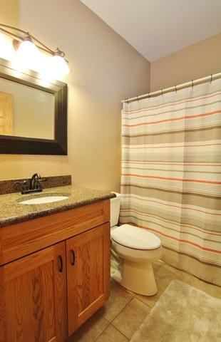 1842 Kingtree Dr, Morris, IL 60450 photo 25