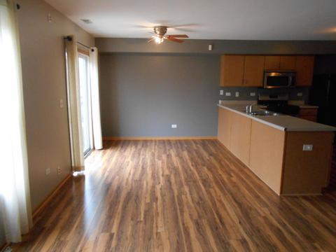 25245 Faraday Rd, Manhattan, IL 60442 photo 8