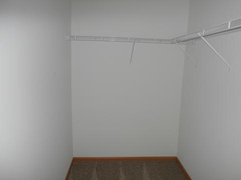 25245 Faraday Rd, Manhattan, IL 60442 photo 13