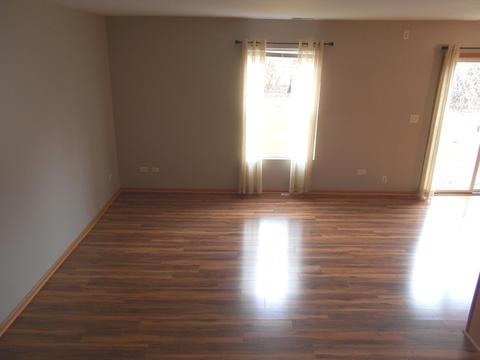25245 Faraday Rd, Manhattan, IL 60442 photo 9
