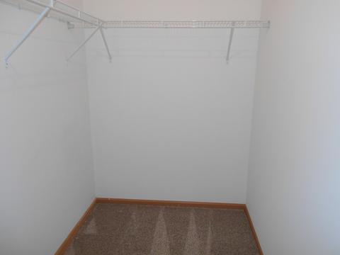 25245 Faraday Rd, Manhattan, IL 60442 photo 14
