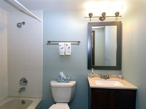 1007 E Cardinal Ln, Mount Prospect, IL 60056 photo 16