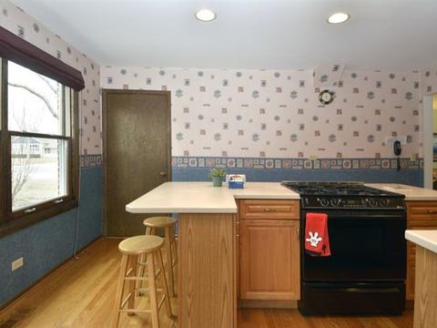 1007 E Cardinal Ln, Mount Prospect, IL 60056 photo 11