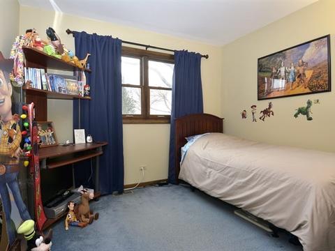 1007 E Cardinal Ln, Mount Prospect, IL 60056 photo 8