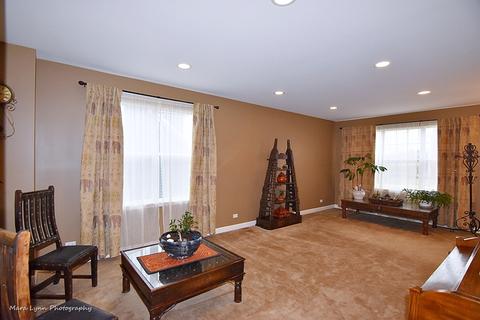619 Trails End, Elgin, IL 60124 photo 10