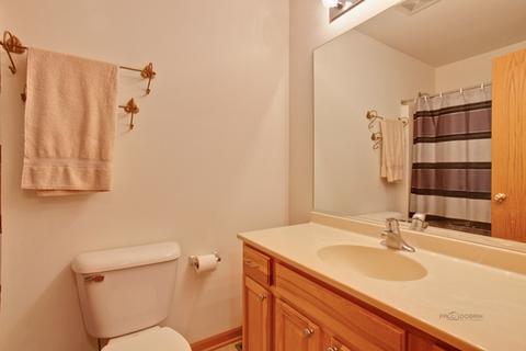 28899 W Pondview Dr, Lakemoor, IL 60051 photo 11