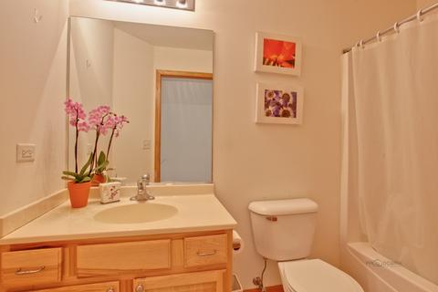 28899 W Pondview Dr, Lakemoor, IL 60051 photo 14