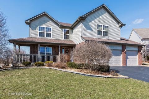 29939 Trim Creek Ct, Beecher, IL 60401 photo 1