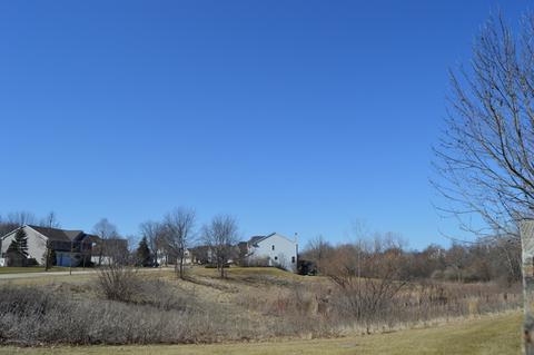 4 White Chapel Ct, Algonquin, IL 60102 photo 40