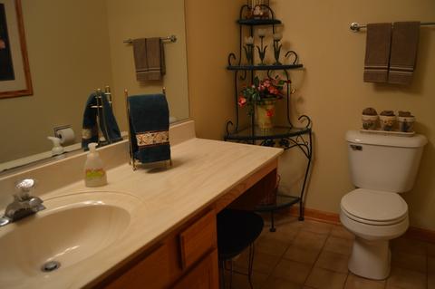 4 White Chapel Ct, Algonquin, IL 60102 photo 12