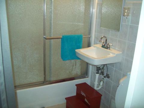 105 Franks Ave, Walnut, IL 61376 photo 9