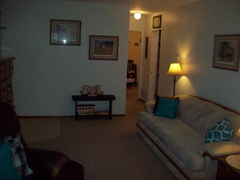 105 Franks Ave, Walnut, IL 61376 photo 8
