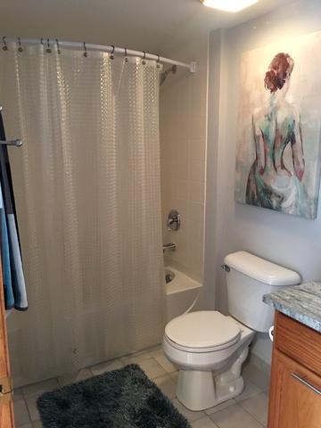 1349 E Washington St #204A, Des Plaines, IL 60016 photo 12