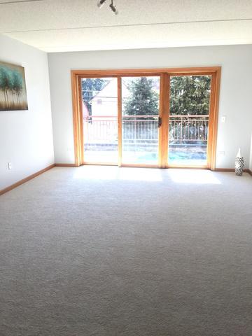 1349 E Washington St #204A, Des Plaines, IL 60016 photo 7
