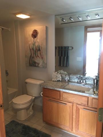 1349 E Washington St #204A, Des Plaines, IL 60016 photo 13
