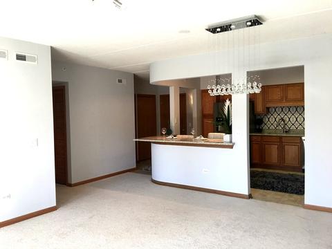1349 E Washington St #204A, Des Plaines, IL 60016 photo 5