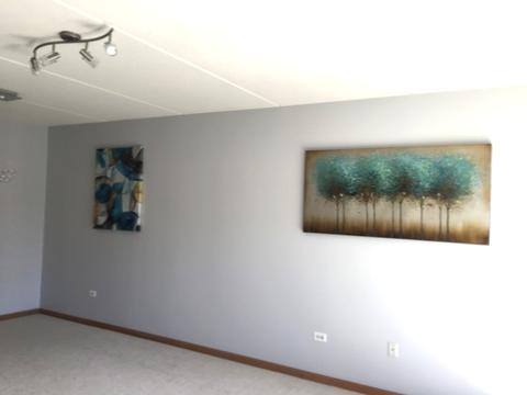 1349 E Washington St #204A, Des Plaines, IL 60016 photo 8