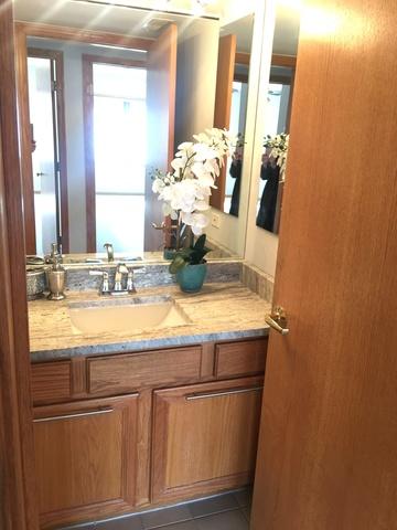 1349 E Washington St #204A, Des Plaines, IL 60016 photo 11
